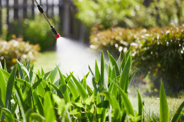 24/7 Emergency Termite Control experts in Jonesboro, AR