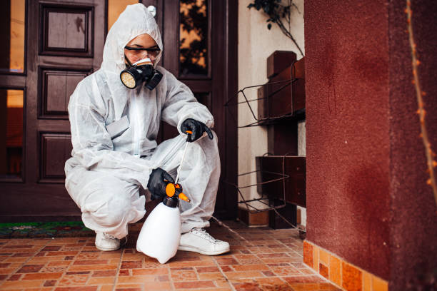 Reliable Termite Control contractor in Jonesboro, AR by Nex Pest Control