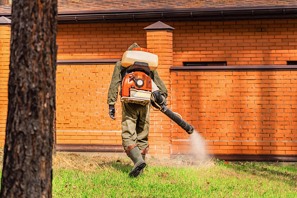 Trusted Termite Control service in Jonesboro, AR - Nex Pest Control